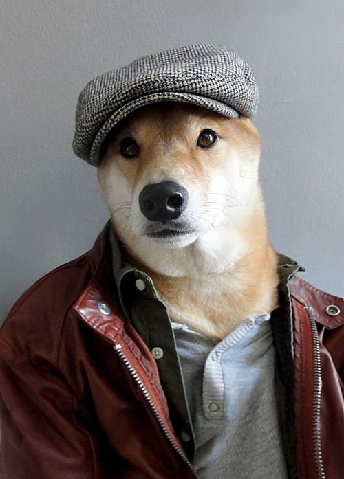 MenWearDog's tweet photo. The concept behind it is so simple https://t.co/81eVUt9Rvn