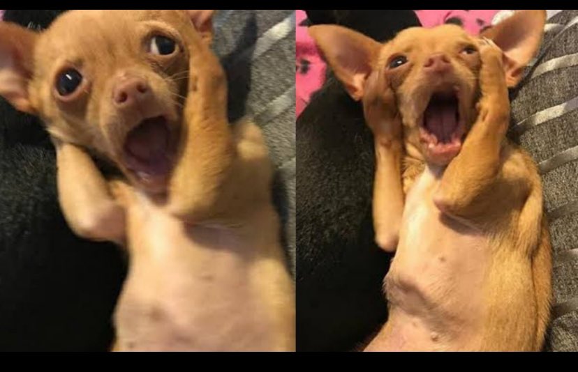 The rate at which ladies date men is also scaring 🥹🥹