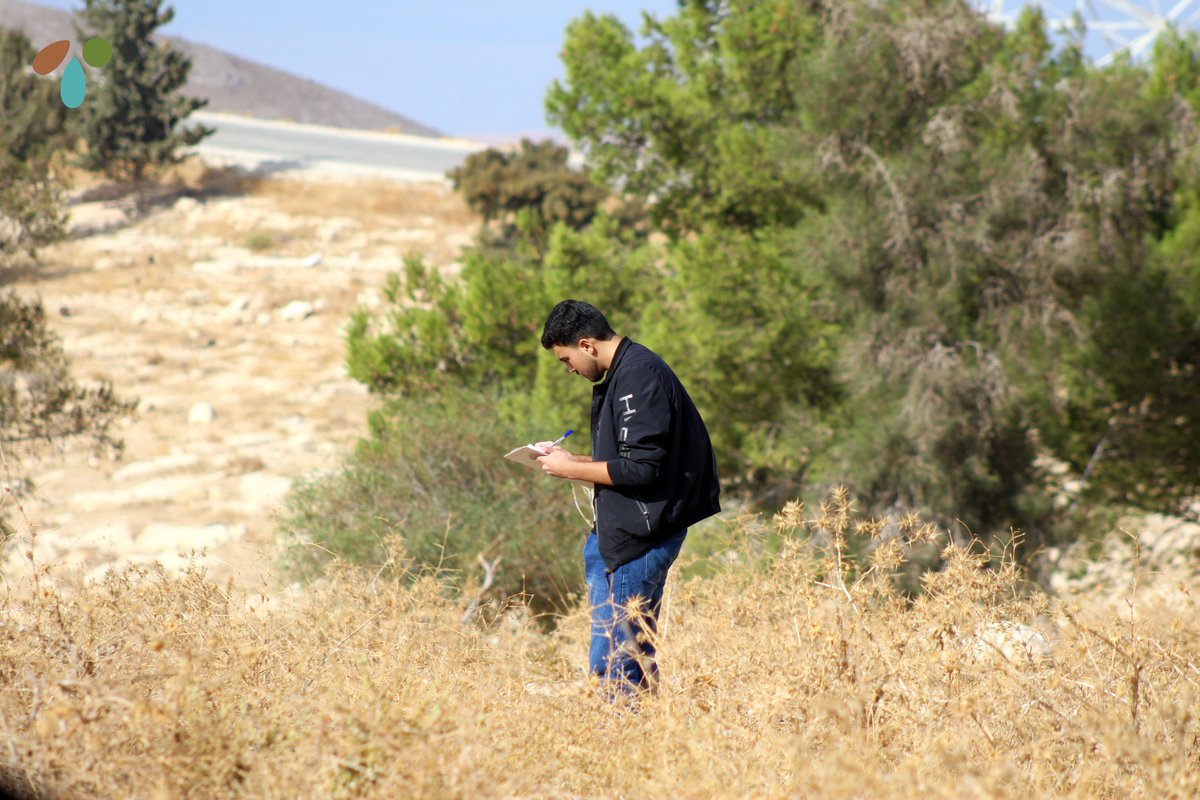 for_wadi's tweet photo. 🌱 Ahead of the rainy season, community members  in Madaba are out in the field playing a crucial role in the monitoring &amp; evaluation of our restoration sites. They’re assessing the survival rate &amp; growth of plants we planted last season 🌿

#GenertationRestoration #WadiJordan https://t.co/U3SGpxjnkF