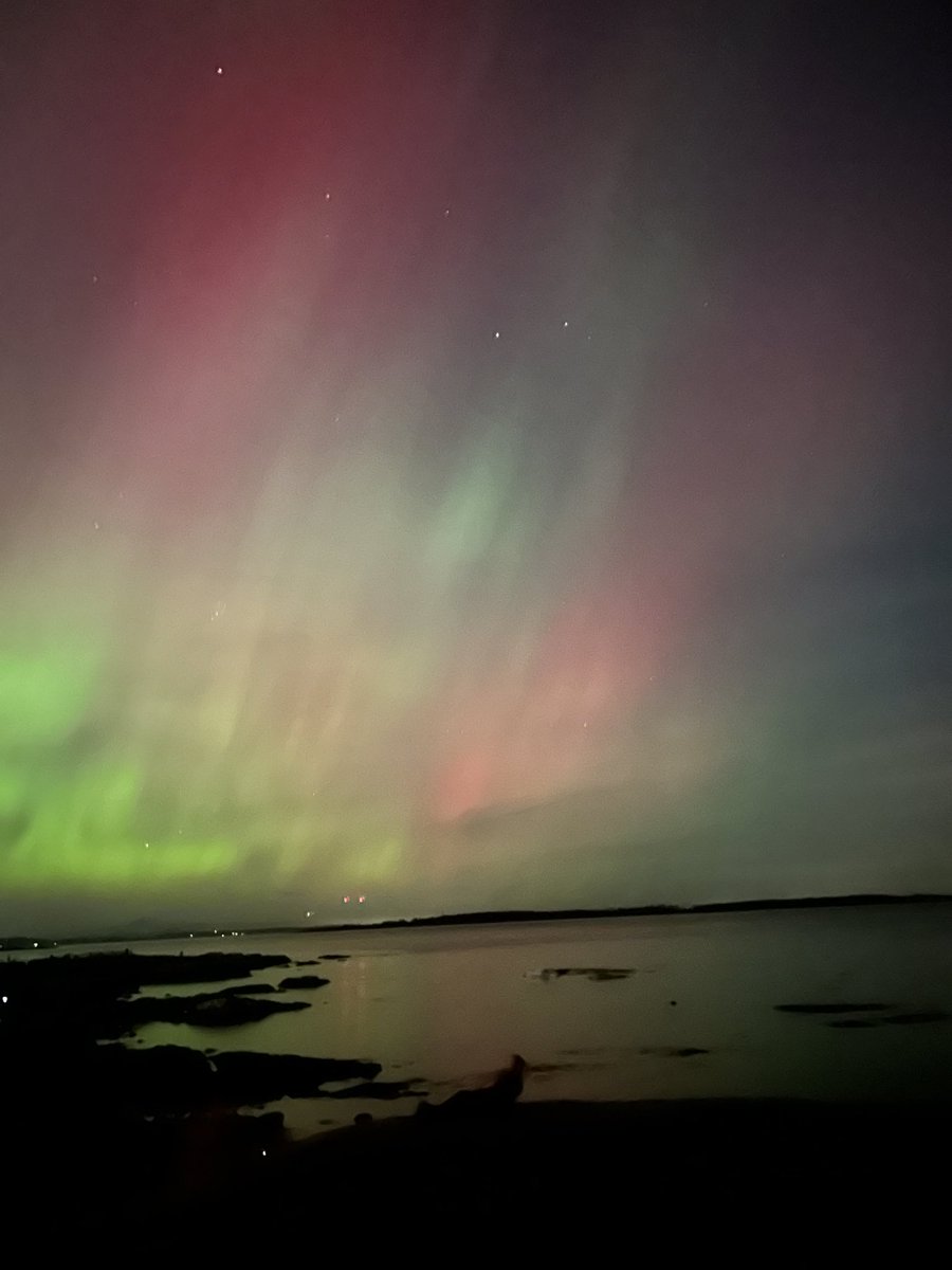 Lisa Ochsner 🍁 tweet media