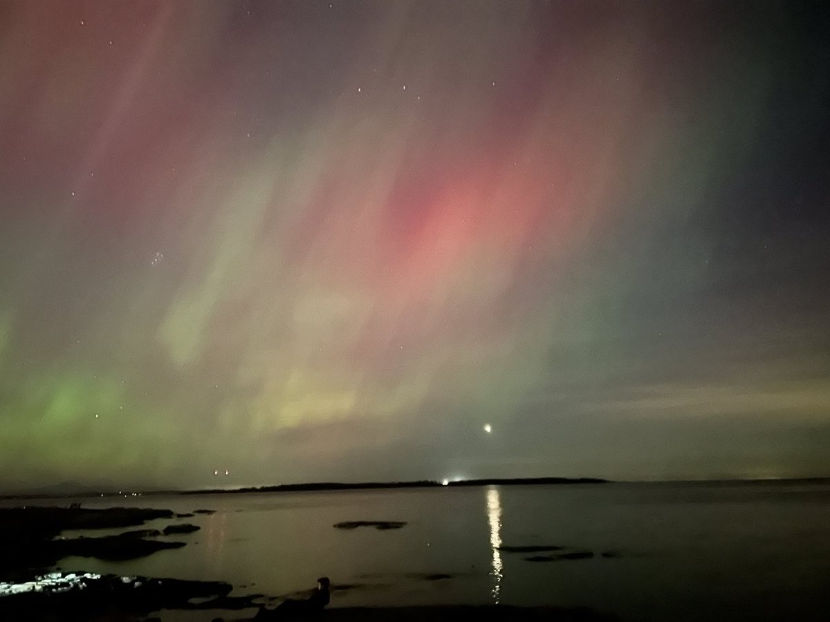 Lisa Ochsner 🍁 tweet media