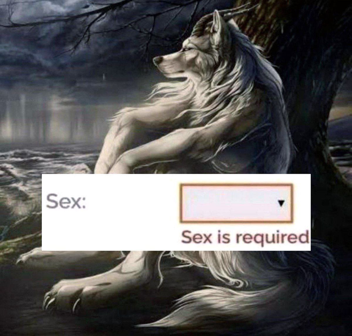 the cumpound (@thecumpound) on Twitter photo 