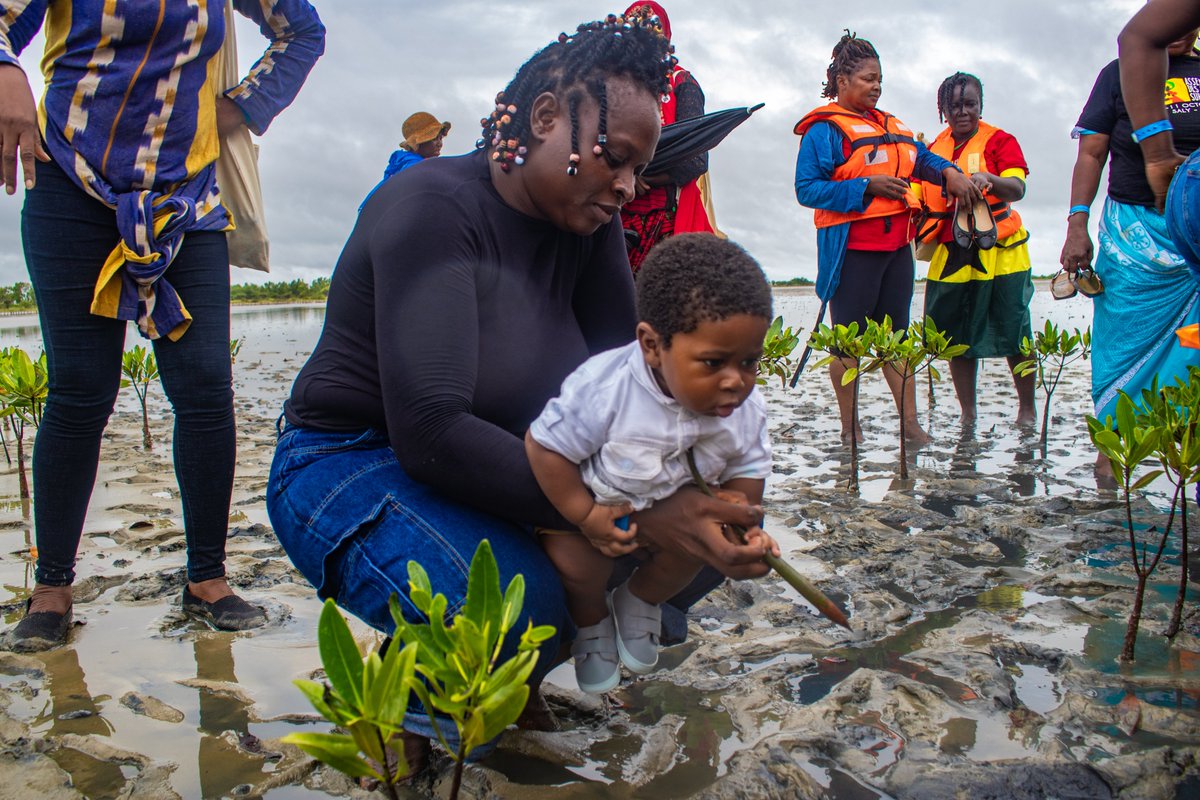 WoMin_Africa's tweet photo. DAY 4 of the #WCA2024 - FIELD TRIPS TO LOCAL COMMUNITIES
Regional participants visit local communities to pay witness and hear the lived experiences of community members living on the front lines of the climate crisis in #Senegal.

#ClimateJusticeNow #fisherfolk #mangroves https://t.co/O09TzKEMsI