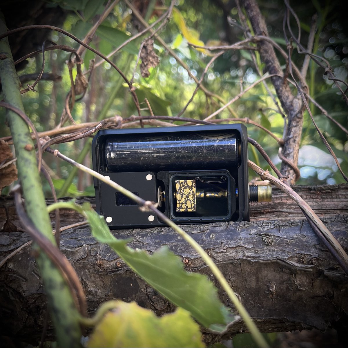 marbLSAssistant's tweet image. HappyField🍵

#elab