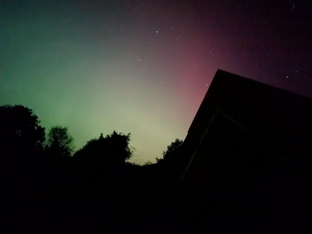 Eileen Ryan tweet media