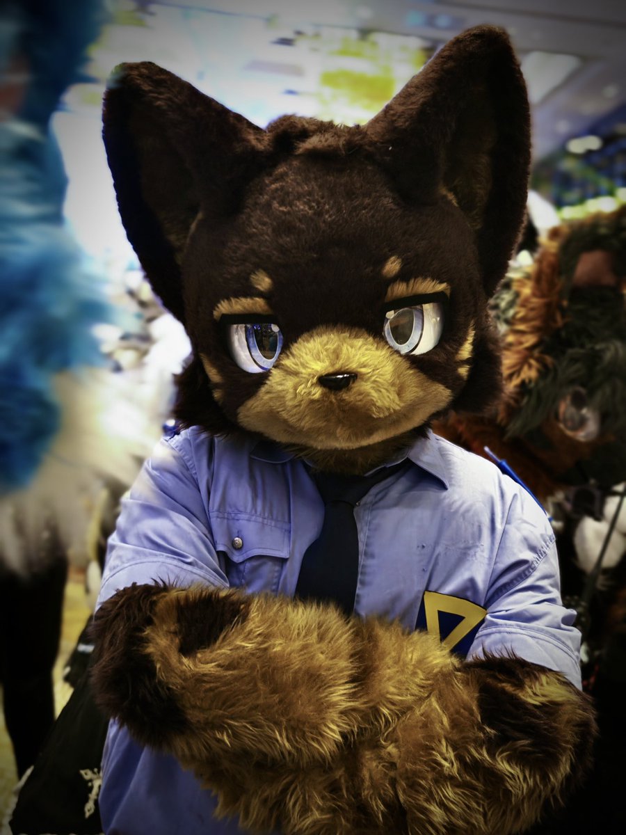 #FursuitFriday 

你的坏点子都在警犬的眼里

📷：@RICO14845755