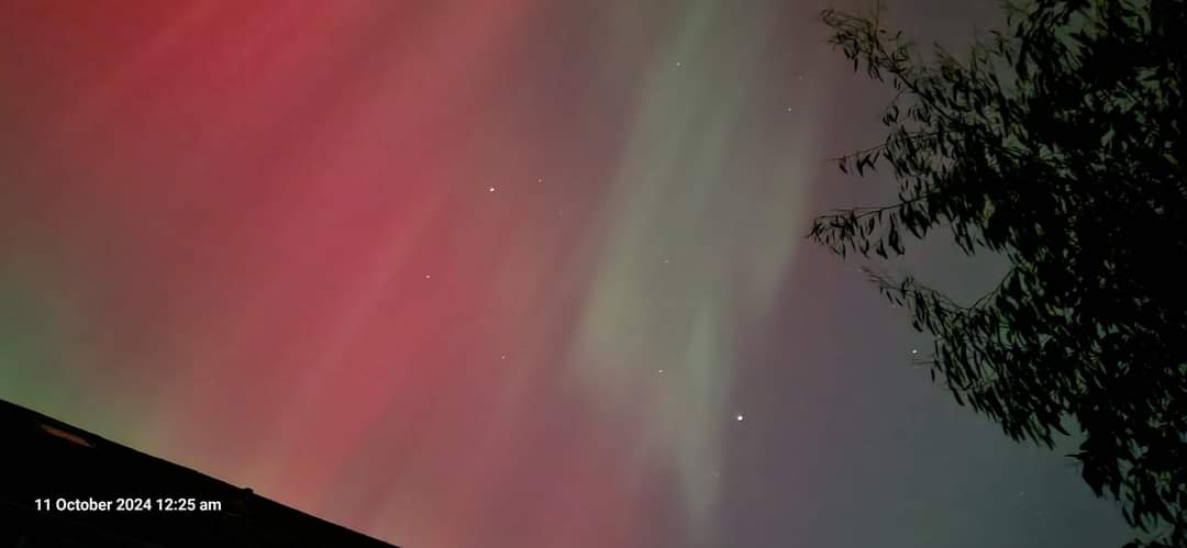 Emma Godley tweet media