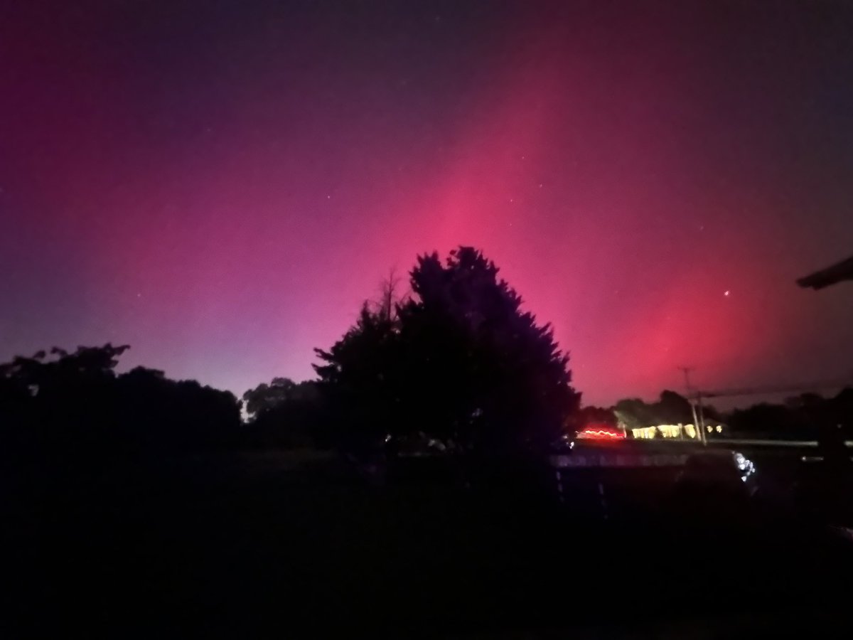 Ava Marie tweet media