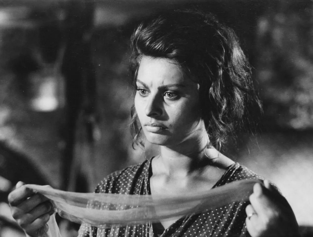 Fritz doesn't live here anymore tweet media