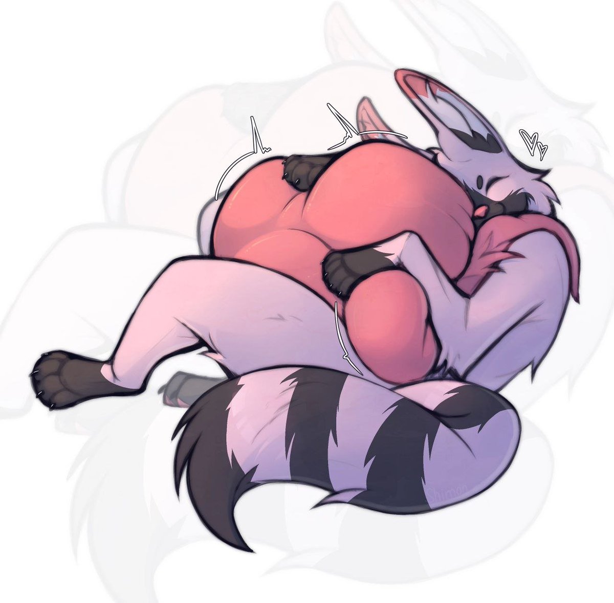 KapecTrindec's tweet photo. A full raccoon :3 https://t.co/UnlH7ob7ZP