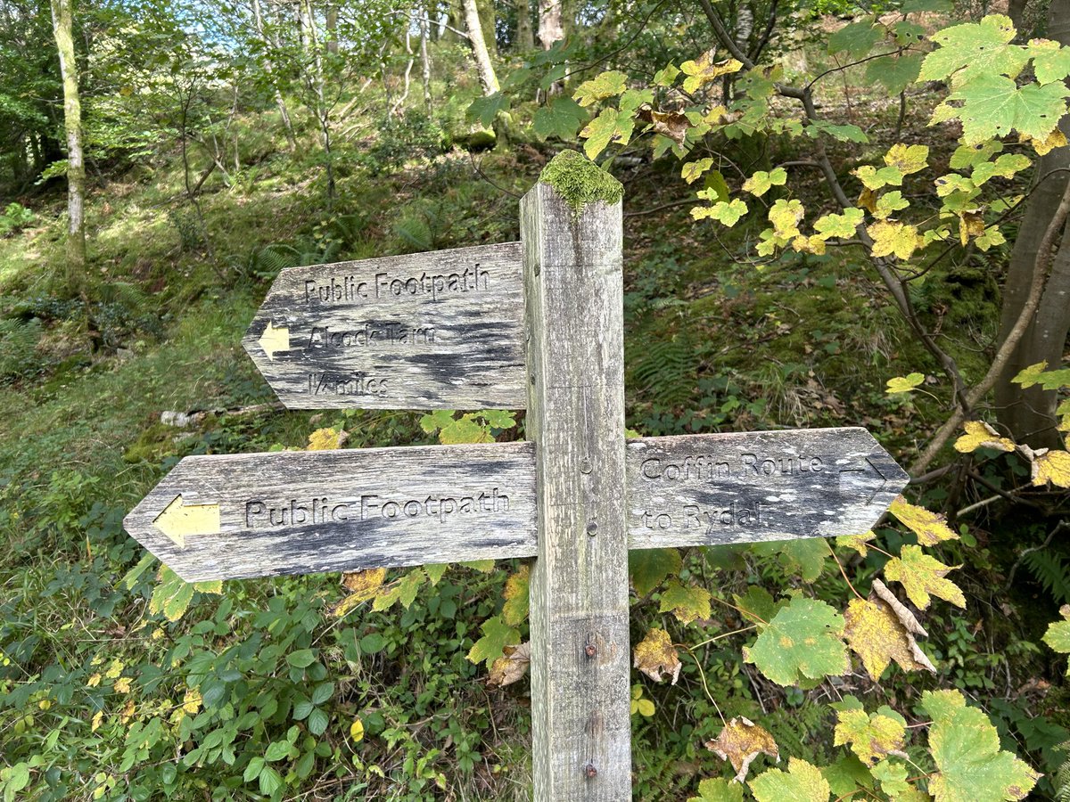 For #FingerpostFriday: up to Alcock Tarn or along the Coffin Route to Rydal? (I had walked from the direction of the third option.)