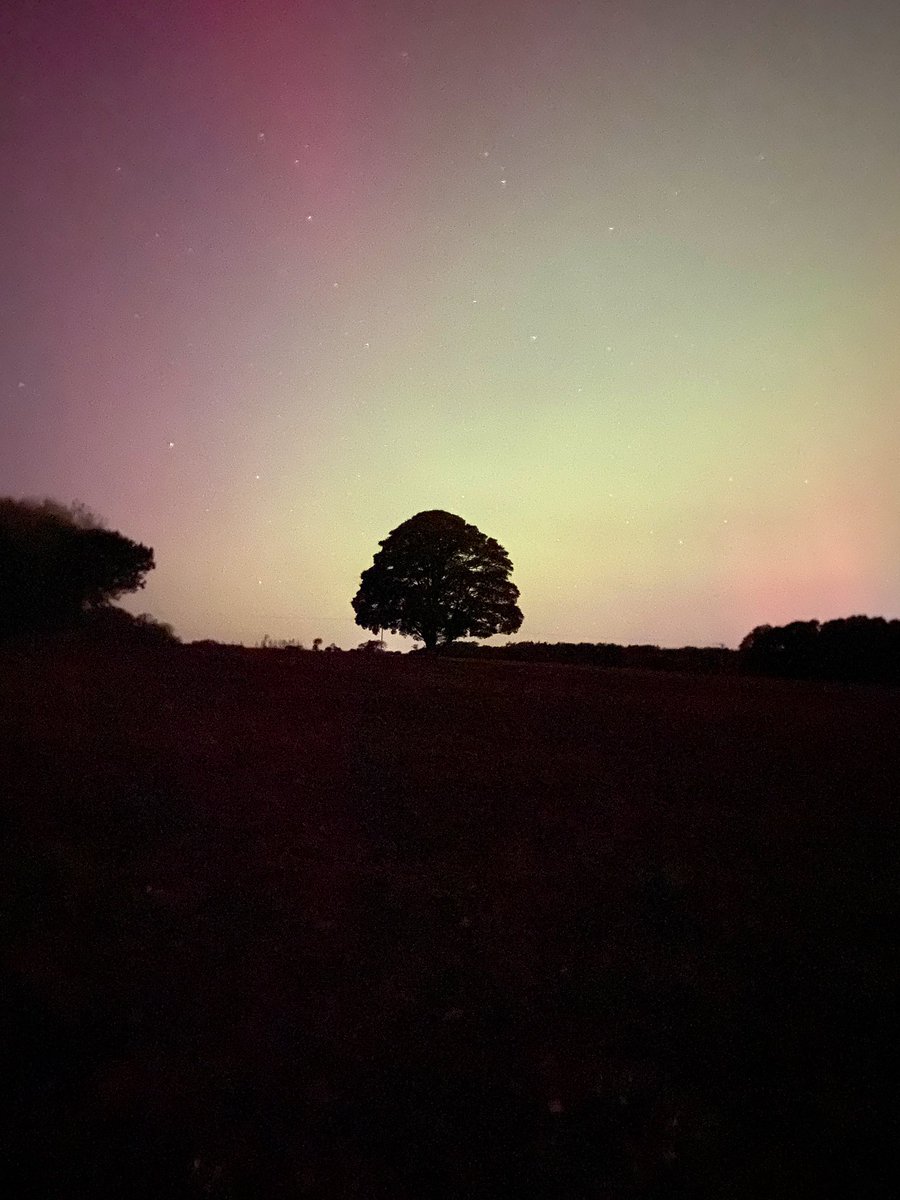 Tommo (@tommosnr) on Twitter photo #northernlights Heighington, County Durham #northernlights Heighington, County Durham