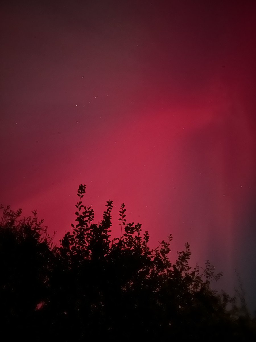 RMN_Chandni's tweet photo. Managed to get some amazing pictures of the Northern Lights last night! They never fail to amaze me 😍🌌❤️💚✨ #northernlights https://t.co/8PZk25joIz
