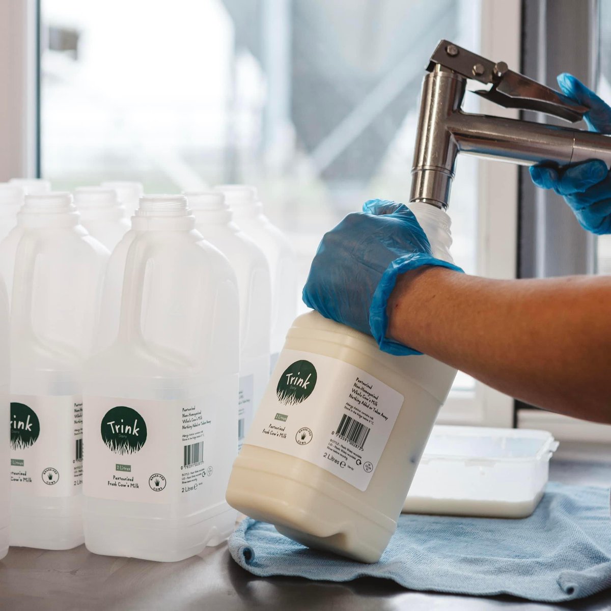 Trink Dairy tweet media