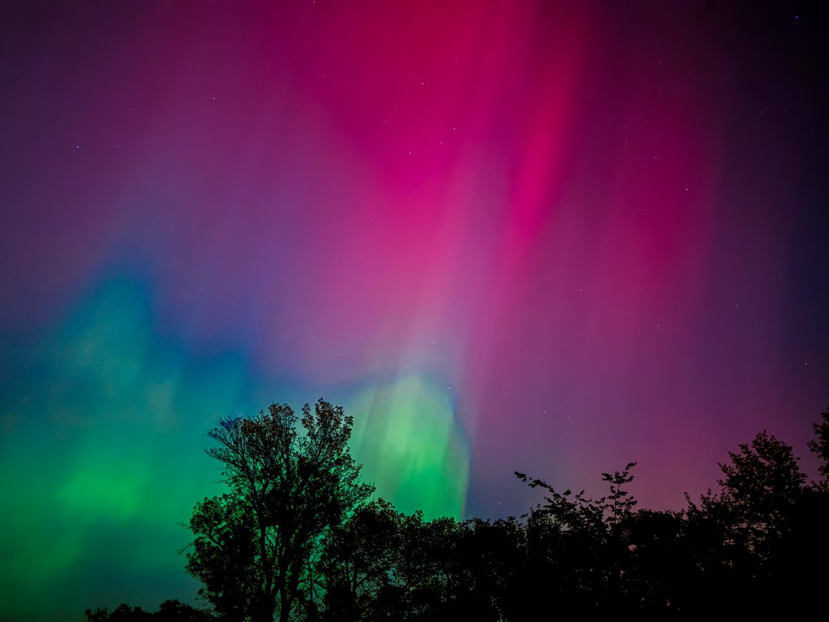 Pushan Alam tweet media