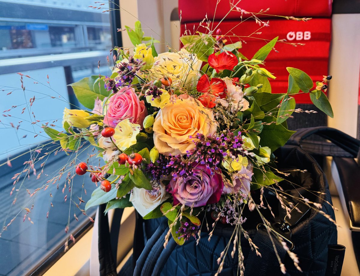 Mareike Ernst tweet media