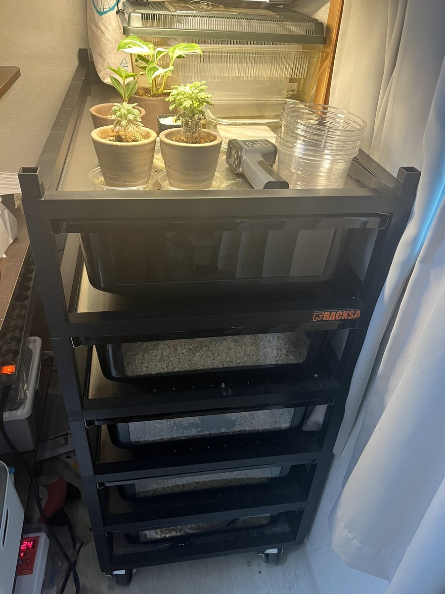 렉사 증축!
은우가 들어갈 자리임