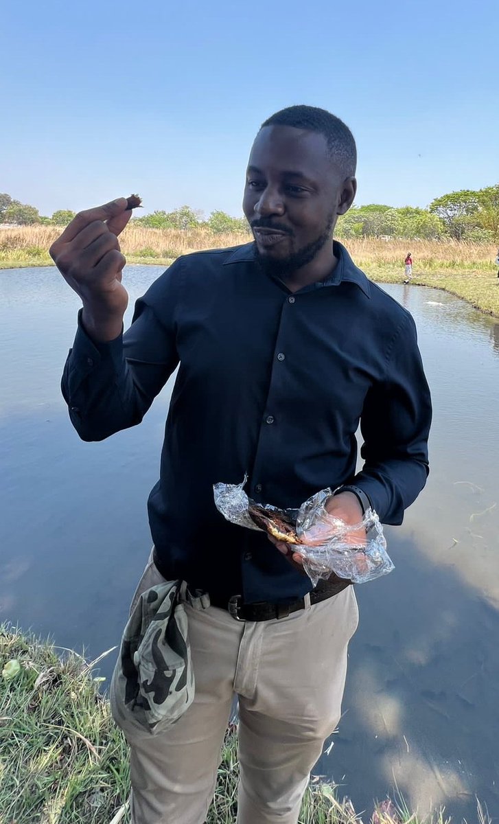 GermanyinZambia's tweet photo. #FishForFood🐟💙
✔️Training sessions on fish farming via radio!📻👍
✔️Development of fish food formulation using locally sourced ingredients
✔️Tasting & comparing sundried, smoked & salt dried fish! Delicious! 😋
✔️Puzzle & card game fun to get to know 🇿🇲 fish species!🐟🩵 https://t.co/osrbQFqcf8