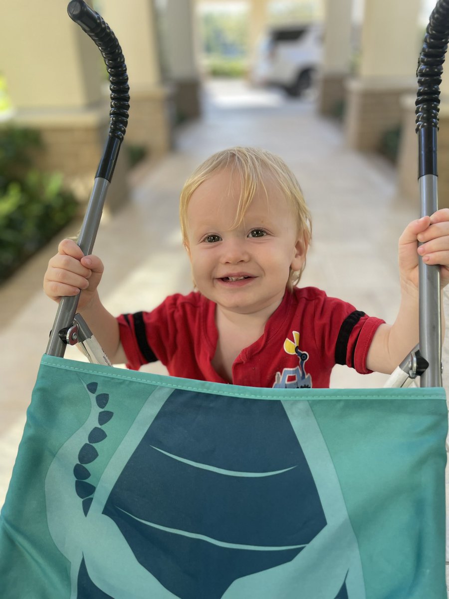 Ashley Watford tweet media