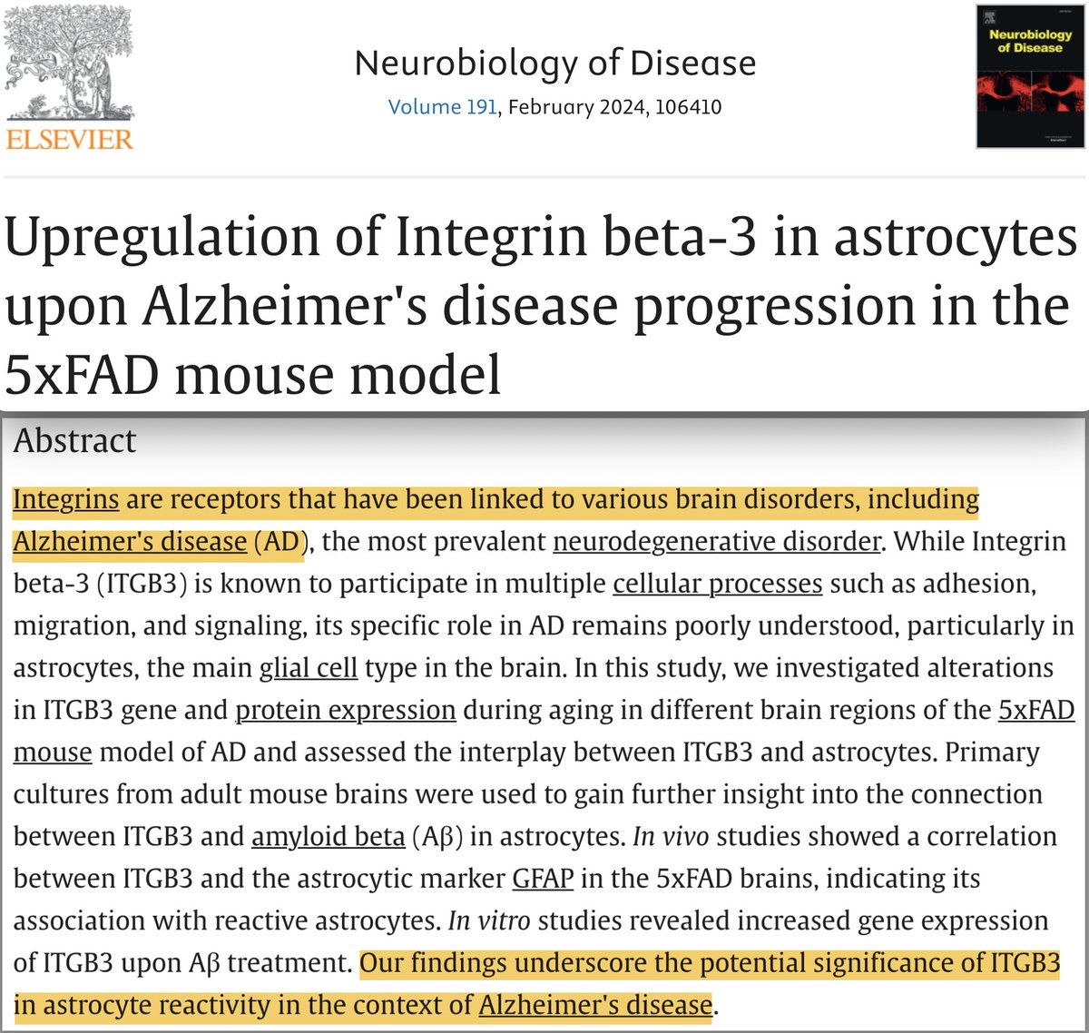 Joe Springer tweet media