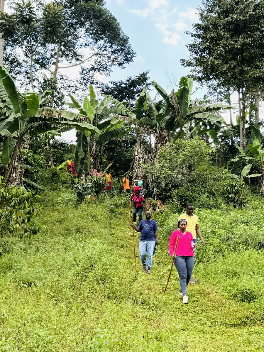 If you can laugh together, you can work together 🫶. We spent a lovely day at our staff retreat where we had an inspiring community walk in the wonderful and serene Ugandan nature and deepened our  team spirit and commitment towards the partnership btw Austria 🇦🇹 and Uganda 🇺🇬.