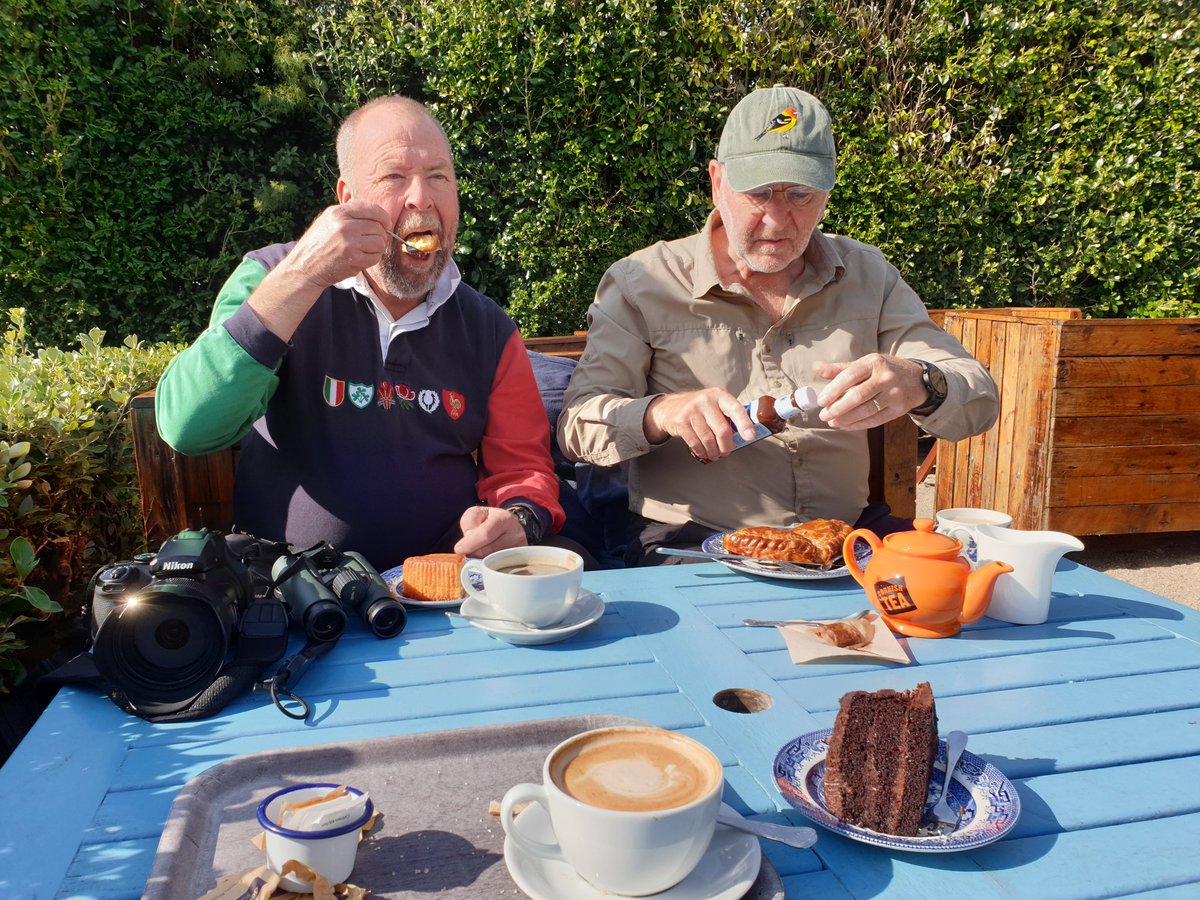 Birding is particularly tough on Bryher today 🤥