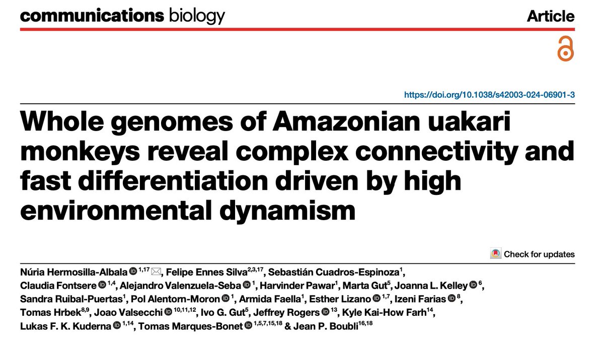marques-bonet lab (@marquesbonetlab) on Twitter photo We are pleased to announce our new paper in uakari genomics published in <a href="/CommsBio/">Communications Biology</a>. Special thanks to all co-authors!
<a href="/HermosillaNuria/">Núria Hermosilla</a>, <a href="/Felipe_SilvaE/">Felipe</a>, <a href="/tmarquesbonet/">Tomas Marques-Bonet</a>, <a href="/BoubliJean/">Jean P. Boubli</a>.
nature.com/articles/s4200…
🧵👇 (1/7) We are pleased to announce our new paper in uakari genomics published in <a href="/CommsBio/">Communications Biology</a>. Special thanks to all co-authors!
<a href="/HermosillaNuria/">Núria Hermosilla</a>, <a href="/Felipe_SilvaE/">Felipe</a>, <a href="/tmarquesbonet/">Tomas Marques-Bonet</a>, <a href="/BoubliJean/">Jean P. Boubli</a>.
nature.com/articles/s4200…
🧵👇 (1/7)
