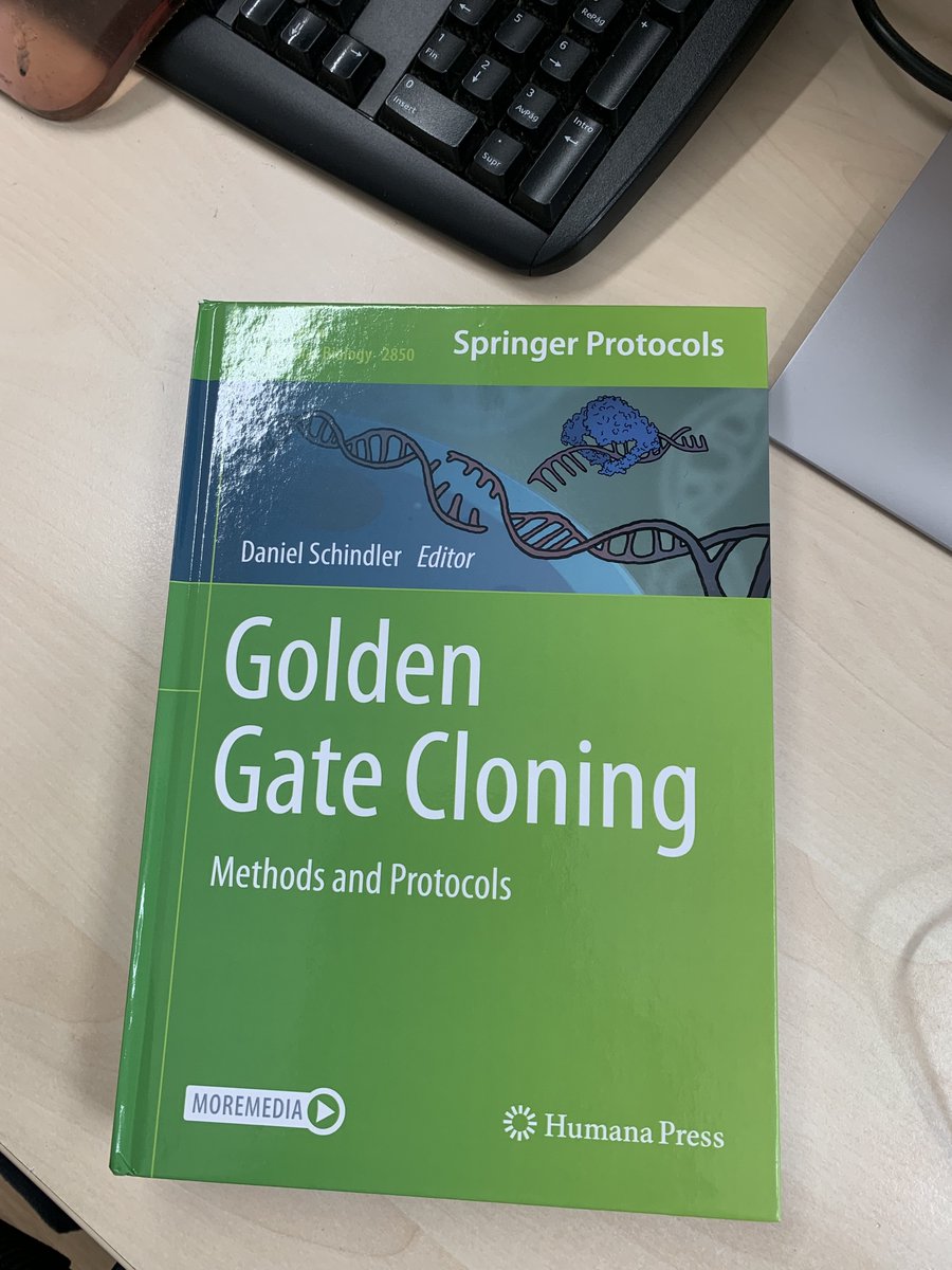 Eva Garcia-Ruiz (@evagarcia_ruiz) on Twitter photo Excited to share that my group contributed a chapter to the new Methods in Molecular Biology book,
focused on Golden Gate cloning protocols, edited by <a href="/DSchindler_PDR/">Daniel Schindler</a>. Huge thanks to Daniel for the invitation #ICP_CSIC #SpringerNature
link.springer.com/protocol/10.10… Excited to share that my group contributed a chapter to the new Methods in Molecular Biology book,
focused on Golden Gate cloning protocols, edited by <a href="/DSchindler_PDR/">Daniel Schindler</a>. Huge thanks to Daniel for the invitation #ICP_CSIC #SpringerNature
link.springer.com/protocol/10.10…