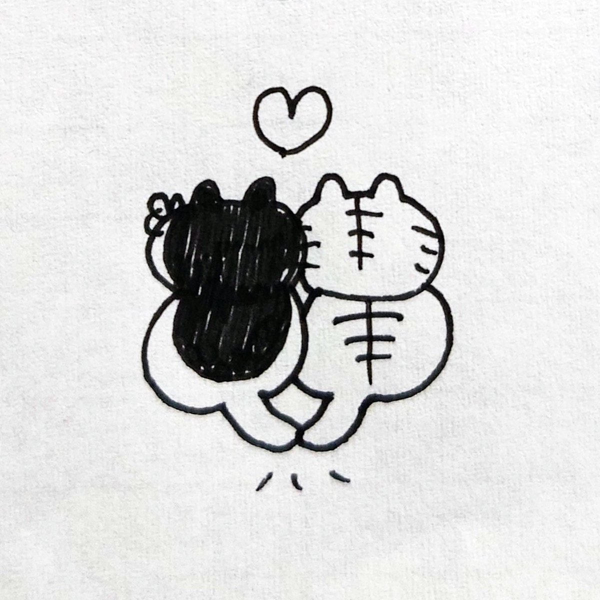 もっちりもちもち猫シセ小夜…