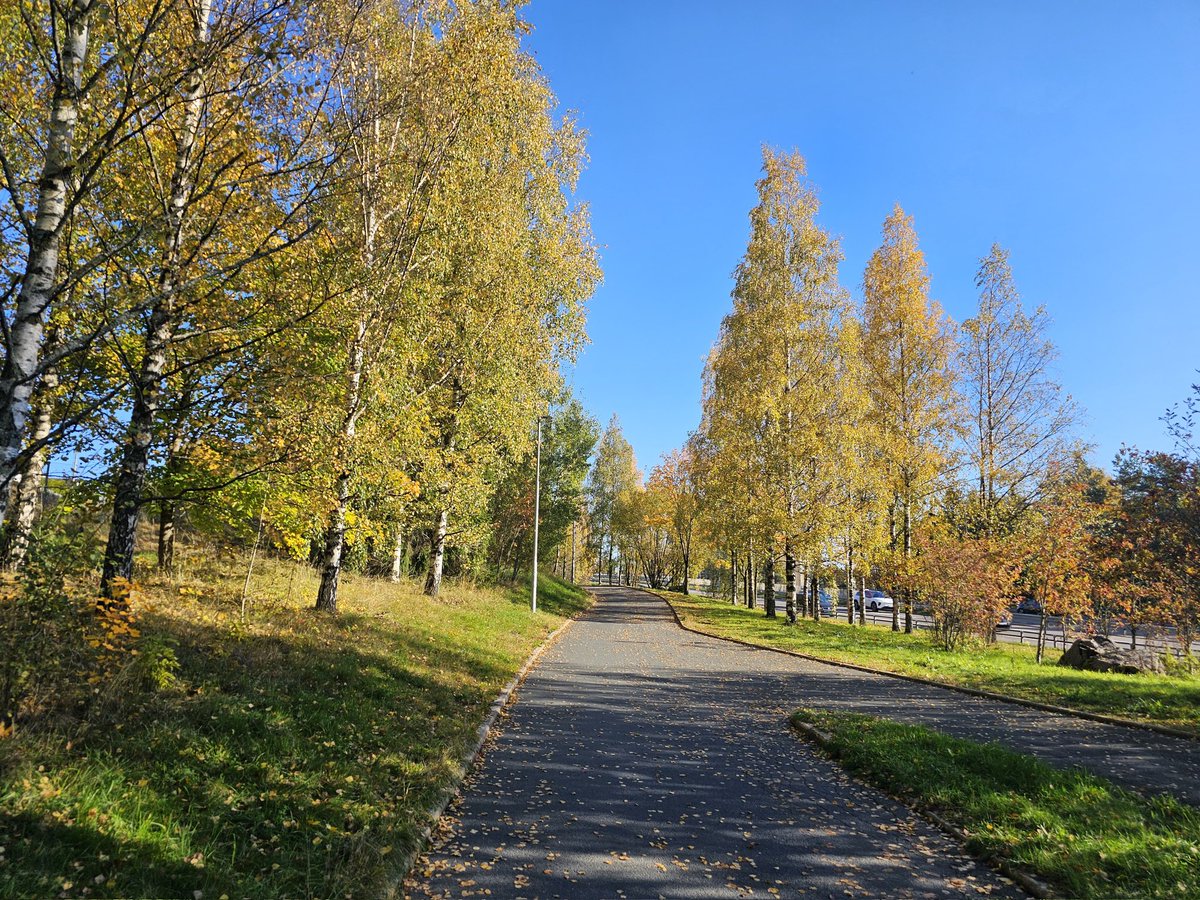 Et_smartere_liv's tweet image. Og der var det løpt, gett. Flotte saker 🍂🤩

14k og med 20 min på ~15 km/t, kroppen huser tydeligvis litt av gamle kunster. Lovende 🙏

#Løping er deilig. Anbefales.

Samme med ekstra fridag. Så verdt det.

Fuck #forbruk, leve #fritid

#fintwit
