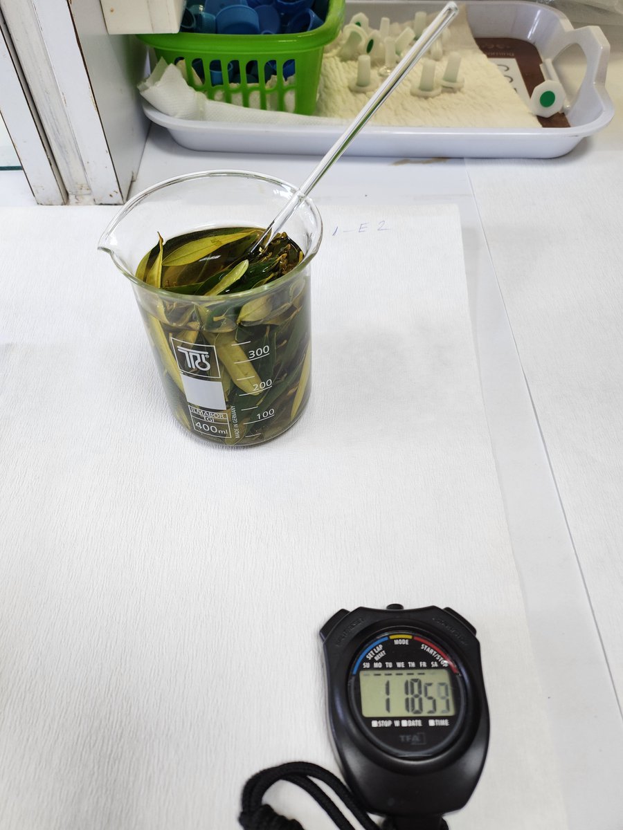 Safe-H2O-Farm tweet media