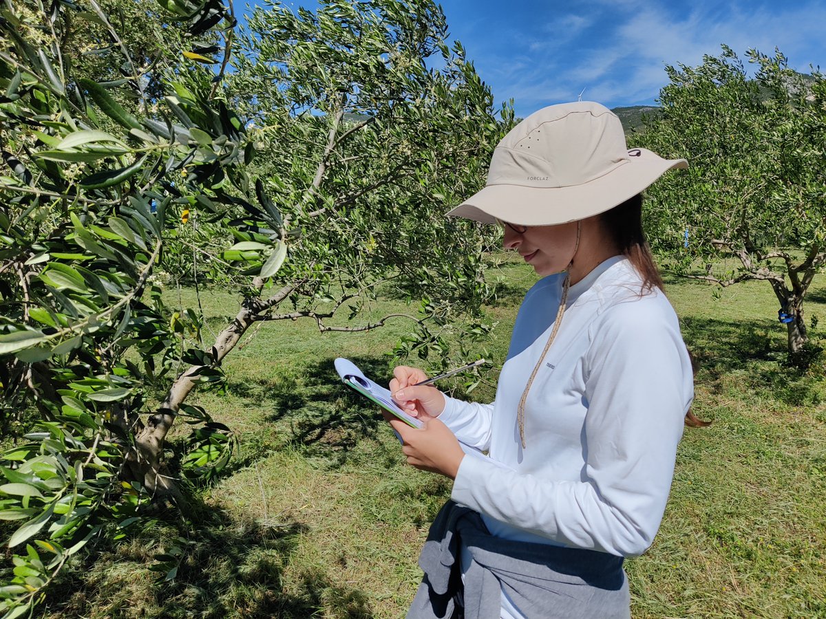 Safe-H2O-Farm tweet media