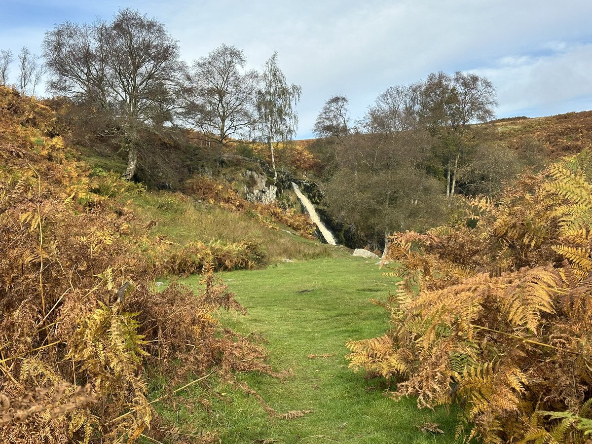 Day off autumnal wander to the Linhope Spout