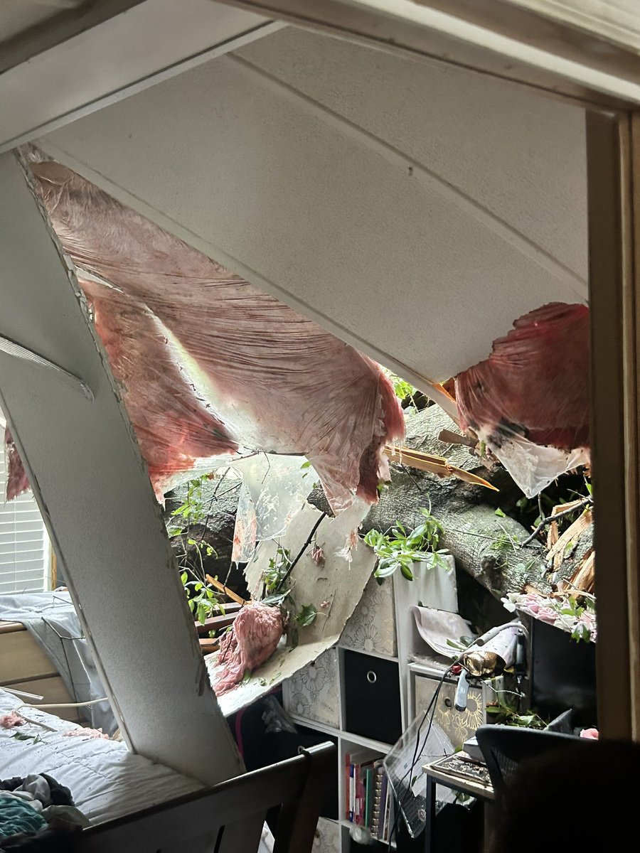 __BITELIFE's tweet photo. This past year I have had the opportunity to train/develop &amp; coach a kid name Jaden. Hurricane Milton took away his home. Please help in sharing and donating to relieve some pressure off him and his family so he can focus on school and healing ❤️

https://t.co/xLPg0aWOhW https://t.co/9khofbsTkE