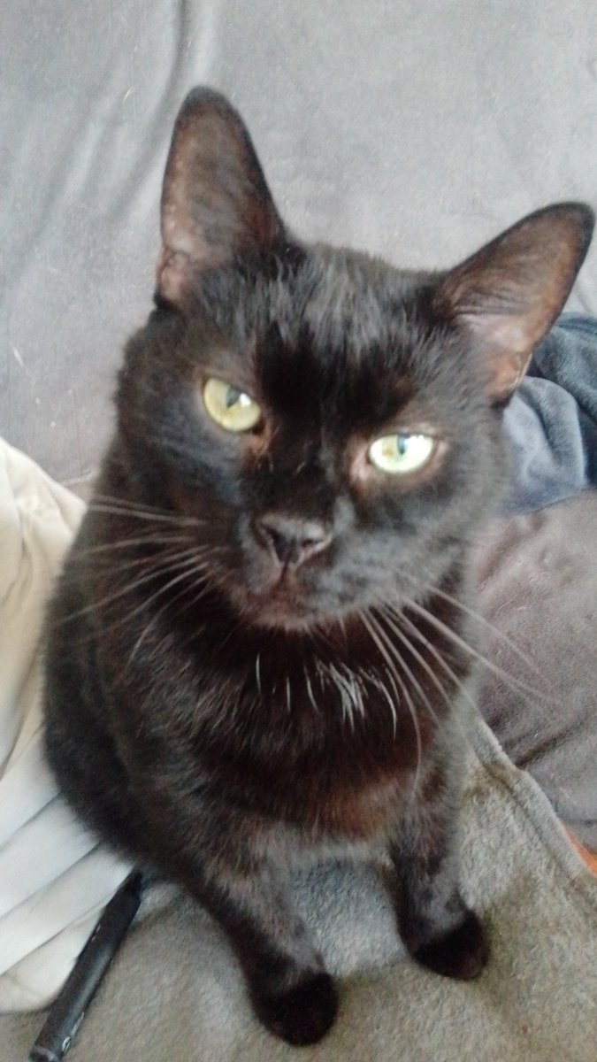 Wenn man ein Mettbrötchen  essen möchte,hat man immer Freunde an seiner Seite 😂😂