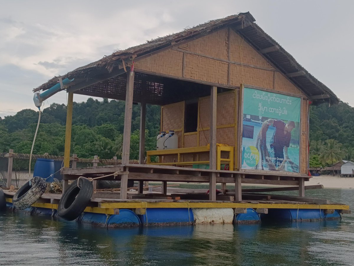 Myanmar Ocean Project tweet media