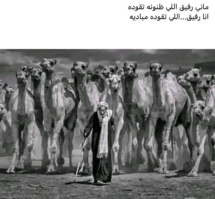 💫✨اٍّلَّحّْرًّبّْيٌّ✨💫 tweet media