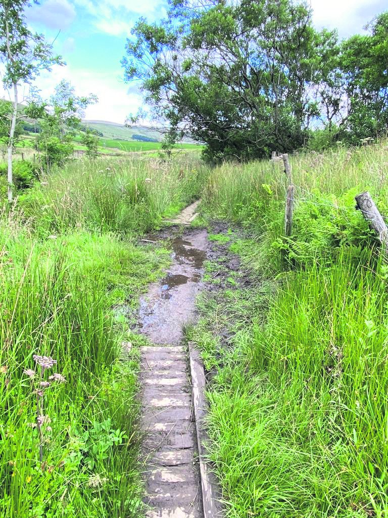 Have you noticed something you are unhappy with while on a walk?

Such as overgrown paths, anti social behavior or dog fouling?

Here is a list of places you can report a problem: walkderbyshire.org.uk/everyday-walki…