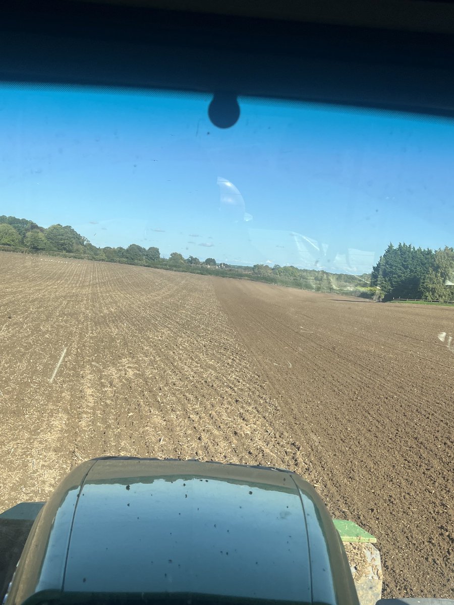 Back at wheat drilling again