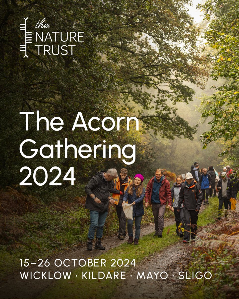 Coillte (@coilltenews) on Twitter photo 🍂 Acorn gathering season is back! <a href="/naturetrust_ie/">The Nature Trust</a>, backed by Coillte and Forestry Partners, are hosting their Acorn Gathering events in selected Coillte forests around Ireland.
For more info visit 👉 naturetrust.ie/acorn-gatherin…
#ForestsForNature #NatureTrust #AcornGathering2024 🍂 Acorn gathering season is back! <a href="/naturetrust_ie/">The Nature Trust</a>, backed by Coillte and Forestry Partners, are hosting their Acorn Gathering events in selected Coillte forests around Ireland.
For more info visit 👉 naturetrust.ie/acorn-gatherin…
#ForestsForNature #NatureTrust #AcornGathering2024