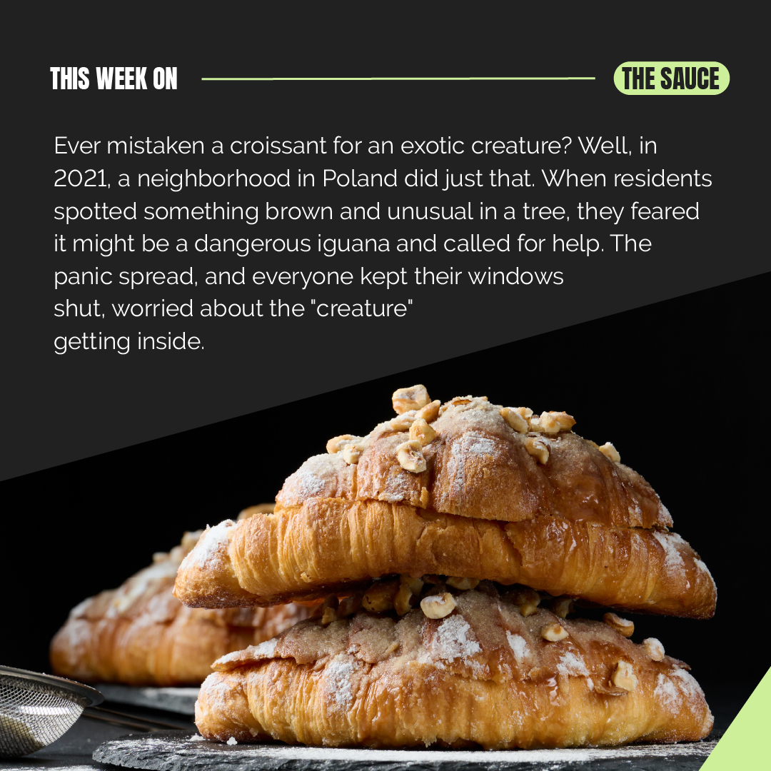 InFlavour tweet media