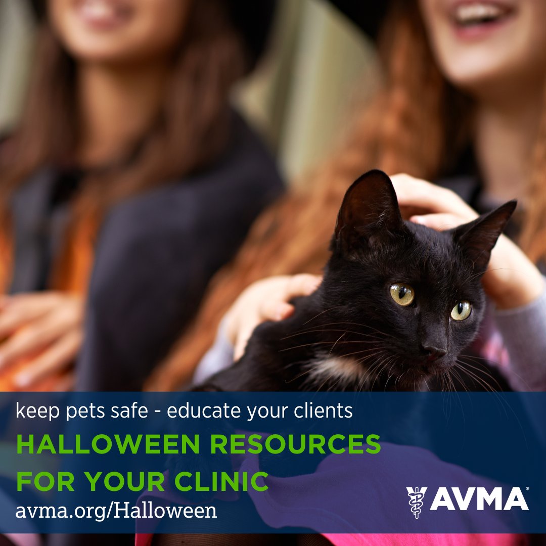 This October, we are reminding AVMA member veterinarians to educate their practice's clients on how to protect their pets this Halloween.

Download AVMA's free client handout, 'Halloween dangers for pets,' available exclusively to AVMA members. bit.ly/3RInWtl