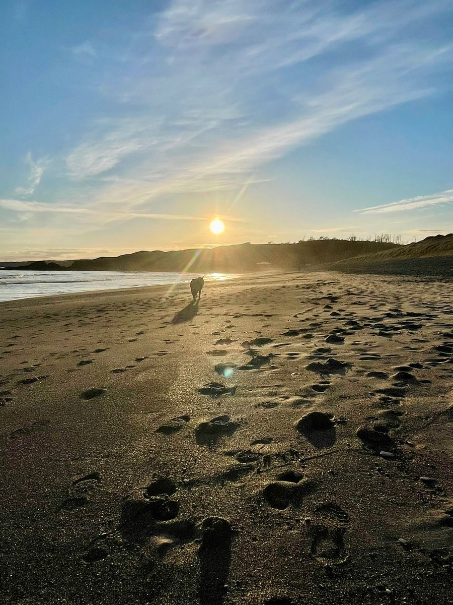 Alles "kuhl" in Irland 🐮Hannes Lahann hat 3 Monate ein Praktikum auf einem Milchviehbetrieb mit 170 Kühen in Vollweidehaltung in Irland absolviert. Die irische Gastfreundschaft 🇮🇪, die schöne Landschaft und das Knüpfen neuer Kontakte sind ihm besonders im Gedächtnis geblieben.