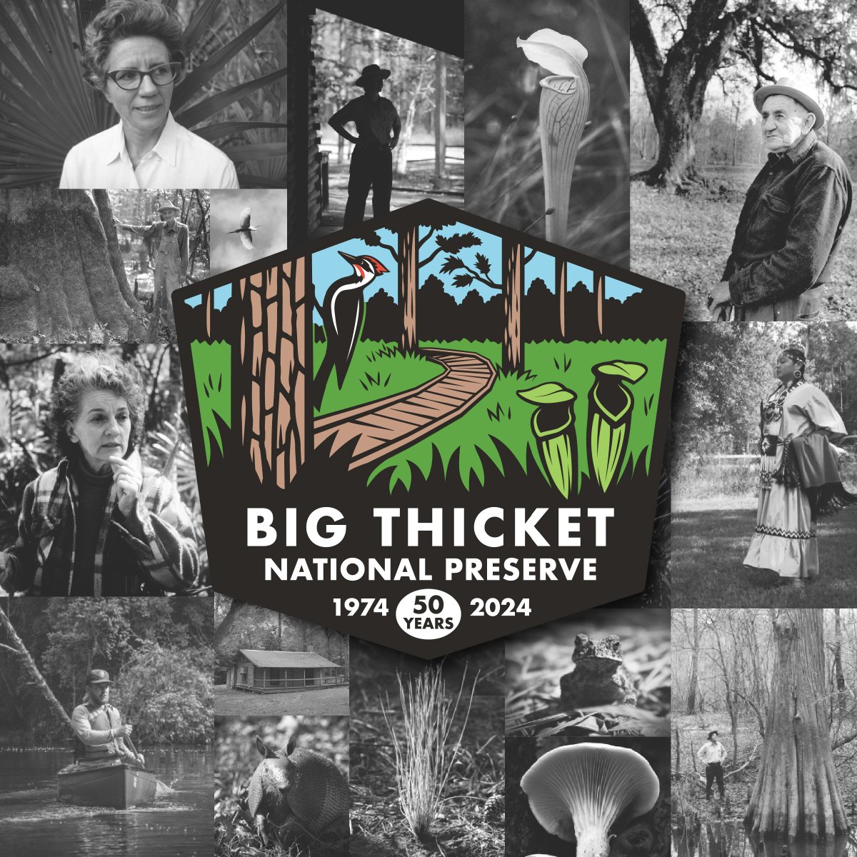 5️⃣0️⃣ YEARS AGO TODAY: On October 11, 1974, #BigThicket National Preserve was established to preserve, conserve, and protect the natural, scenic, and recreational values of the woods and waters of southeast Texas.

🎉 Join us in celebrating your preserve:
nps.gov/bith/planyourv…