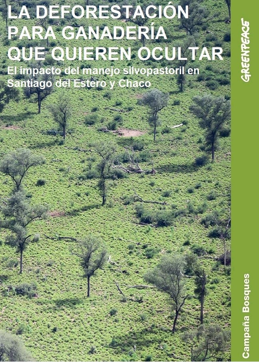 hernangiardini's tweet photo. Nuevo informe de @GreenpeaceArg
LA DEFORESTACIÓN PARA GANADERÍA QUE QUIEREN OCULTAR. El impacto del manejo silvopastoril en Santiago del Estero y Chaco

Sobre 1.881 lotes analizados, el 70% perdió su estructura y función como bosque.

https://t.co/OJBb53ZBxS https://t.co/oqoExMXVno