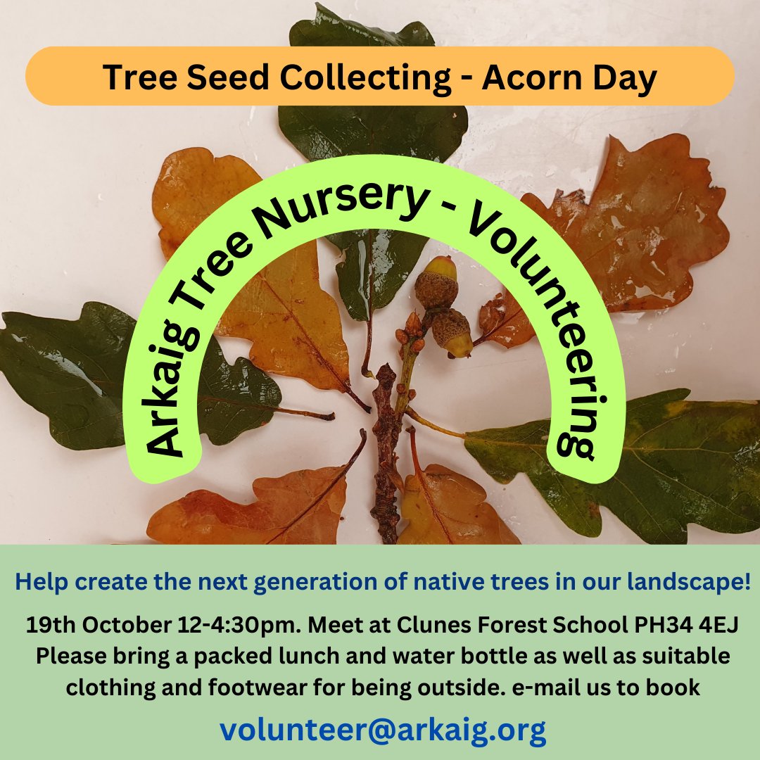 Arkaig Community Forest (@arkaigforest) on Twitter photo JOIN US! Next Saturday 19th October will be the last volunteer tree seed collection day in partnership with Trees for Life this year! Focusing on acorns of the Sessile Oak #seedcollecting #acorn #sessileoak #volunteering #nativetrees 
#treenursery #rewilding #treesforlife JOIN US! Next Saturday 19th October will be the last volunteer tree seed collection day in partnership with Trees for Life this year! Focusing on acorns of the Sessile Oak #seedcollecting #acorn #sessileoak #volunteering #nativetrees 
#treenursery #rewilding #treesforlife
