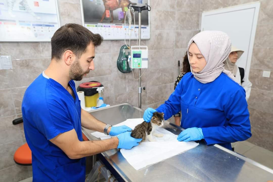 Bu suratı unutma Türkiye !!!!
Bu onlarca masum canlıyı katleden bir belediye çalışanı. Gebze sokaklarında dolaşacak ve bir sonraki hedefi belki çocuklarınız olacak. 
#GebzedeKatliamVar 
#GebzeKatili