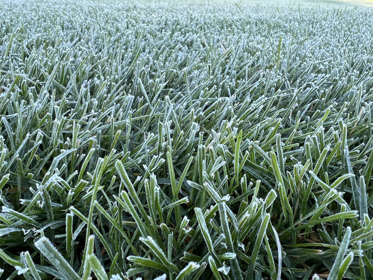 Jim Pavonetti, CGCS tweet media