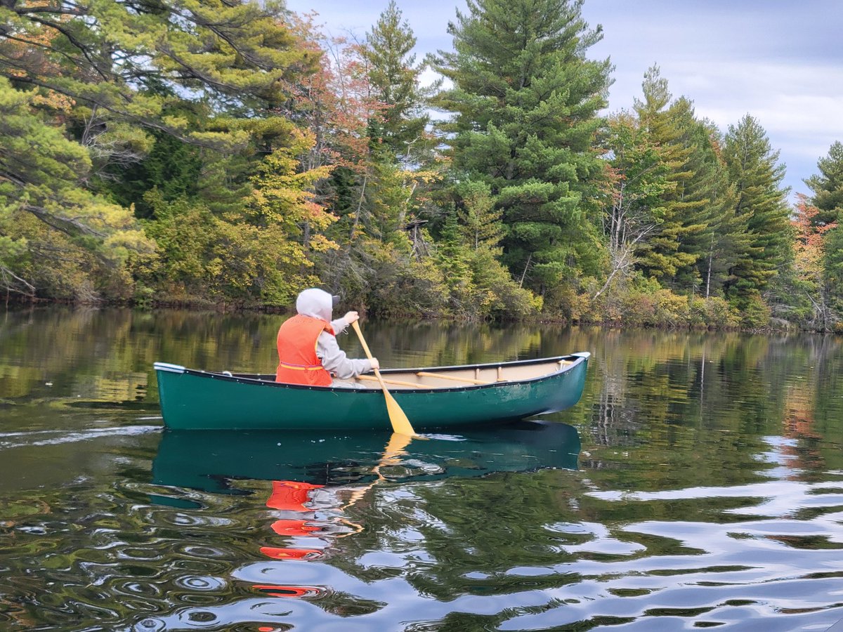 Shawn Forth tweet media