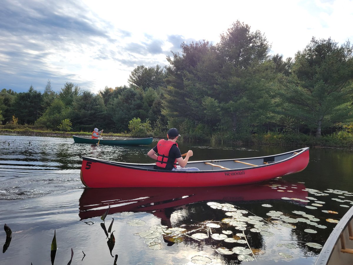 Shawn Forth tweet media